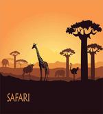 Exotic and Pastoral Sunset