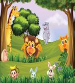 Animals in Forest Safari