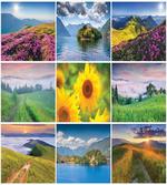 Idyllic Scenery Collage