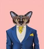 Whimsical Portrait of a Cat