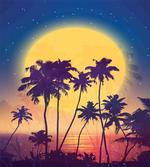 Retro Moon Rise Palms artwork