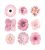 Botanical Set