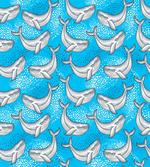 Dotted Whale Sea Ocean