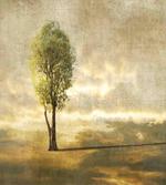 Lonely Tree in Beige Tones