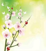 Blossoms Ladybugs Spring
