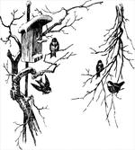 Nest of Sparrows artwork