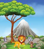 Animals Volcano