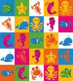 Sea Octopus Crab Whale