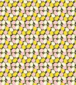 Winter Season Harvest Pattern