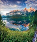 Sunny Summer Morning