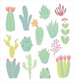 Hand Drawn Style Cacti