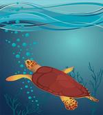 Underwater Composition