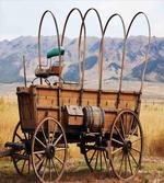 Nostalgic Wild Western