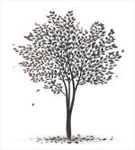 Fall Leaves Solititude artwork