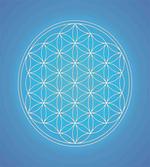 Flower of Life Grid