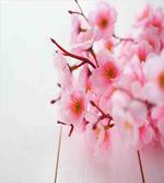 Cherry Blossom Petals
