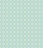 Circles and Curved Shape