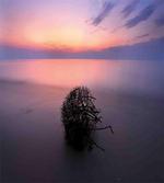 Hidden Heaven Nature
