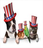 American Pets