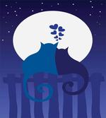 Cats in Love at Night Cartoon