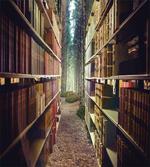 Abstract Library in Woods