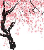 Cherry Blossom Tree