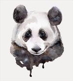 Watercolor Panda Bear