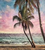 Vivid Sky Sea and Palms