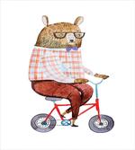 Urban Bear on Bicycle