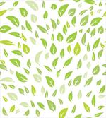Summer Spring Garden Leaf