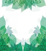 Tropic Green Leaves Ferns
