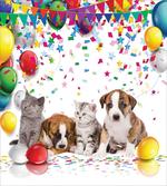 Cat and Dog Party