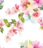 Innocent Delicate Nature