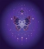 Galactic Butterfly Geometry