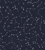 Cluster of Stars