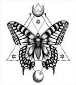 Mystical Butterfly