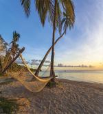 Summer Time Hammock on a Beach artwork