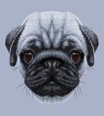 Young Puppy Giant Eyes