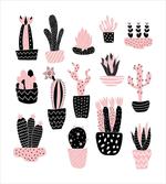 Succulent Pots