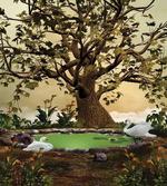 Forest Tree Pond and Swans