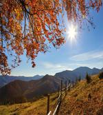 Fallen Leaves and Hills