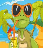 Turtle Drinking Cocktail