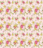Spring Joy Wild Roses