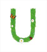 Capital U with Daisies artwork