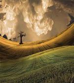 Landscape Sky Tree