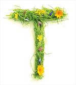 Spring Themed Sign artwork