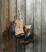 Vintage Boxing Gloves