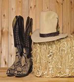 Texas Snake Cowboy