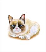 Grumpy Angry Cat Love