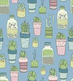 Houseplants Succulents